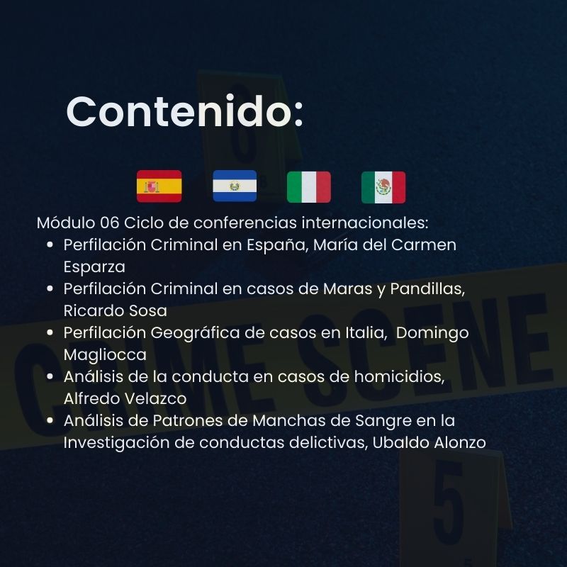Formación en Perfilación Criminal e Investigación de Conductas Delictivas - Image 6
