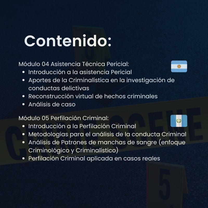 Formación en Perfilación Criminal e Investigación de Conductas Delictivas - Image 5