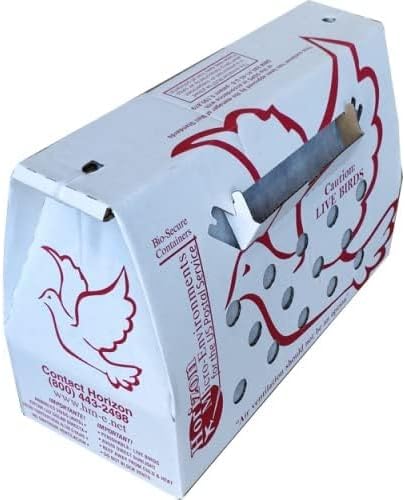 'Vented' Singles Live Chicken Shipping Boxes (10 pack) - Image 8