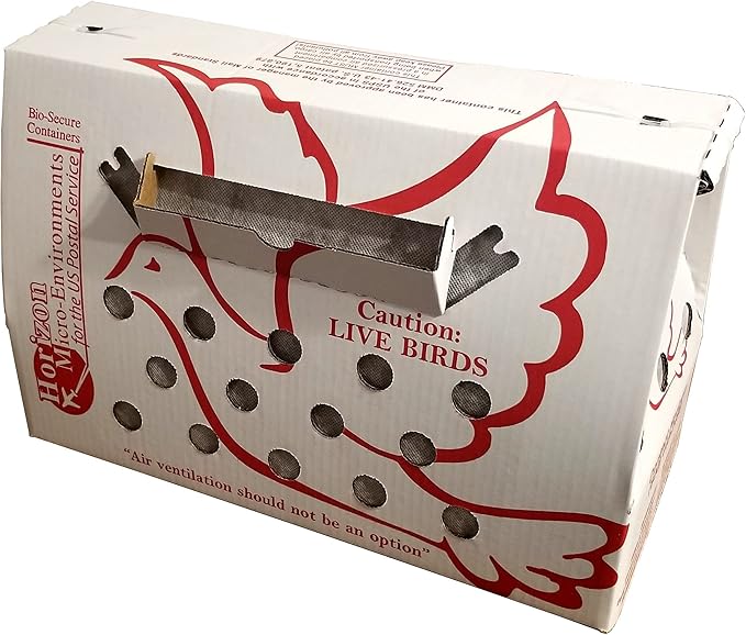 'Vented' Singles Live Chicken Shipping Boxes (10 pack)