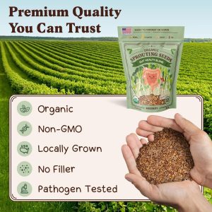 Seedboy Organic Non-GMO Sprouting Seeds, Gut Health Blend – USA Grown Microgreens Mix with Clover, Alfalfa, Fenugreek, Dill – 8 oz Bag Makes 8 Quarts / 24 Servings (Gut Health Blend)